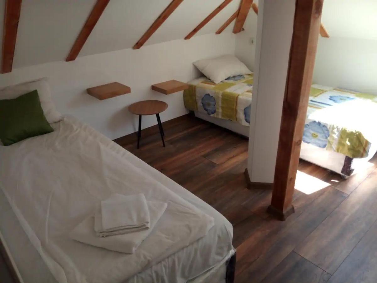 Entire Central House With Guest Rooms & Garden Sofia Exterior photo